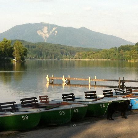 Ruheoase Mit Bergblick Im Zentrum Murnaus Murnau am Staffelsee Εξωτερικό φωτογραφία